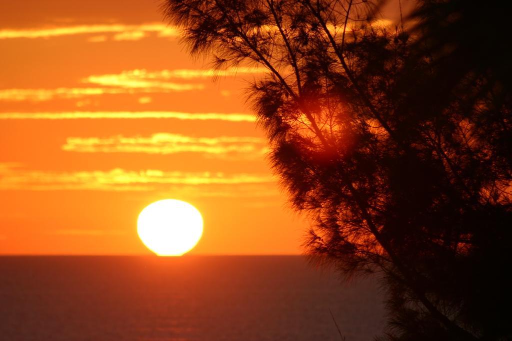 Silver Surf Gulf Beach Resort Bradenton Beach Luaran gambar